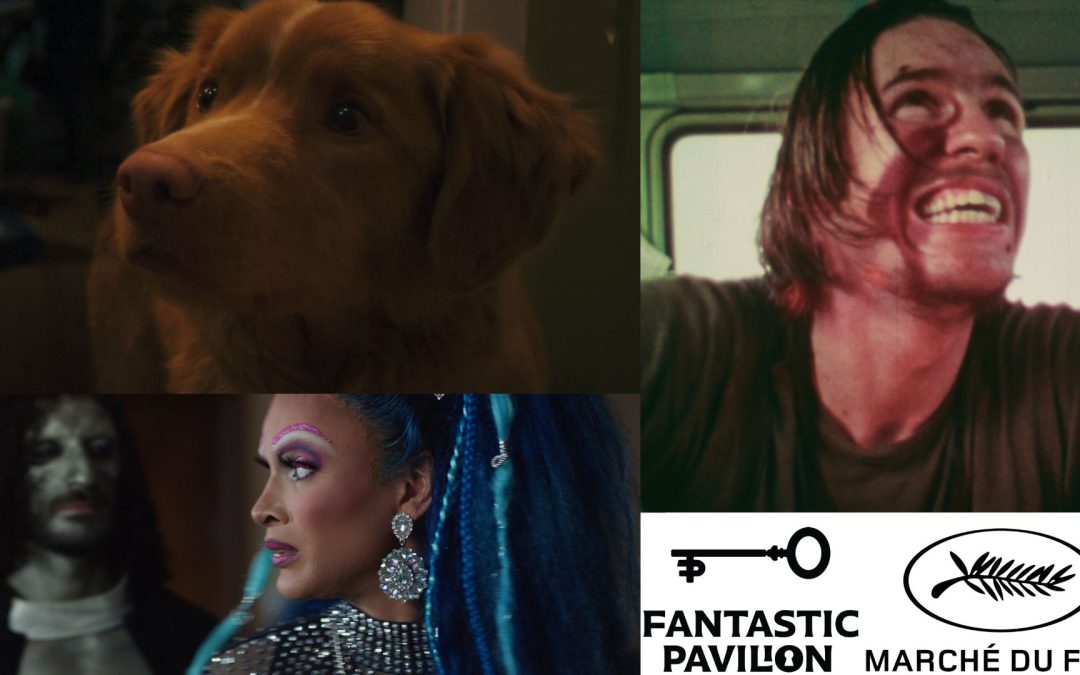Fantastic Pavilion’s Weekly Recap: Updates on ‘Good Boy’, ‘Queens of the Dead’ and ‘Chain Reactions’